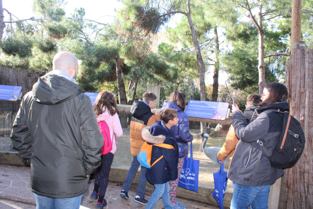 evento cardioprotección Proyecto + vida con Menudos corazones en Faunia